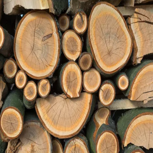 Forestry category visual